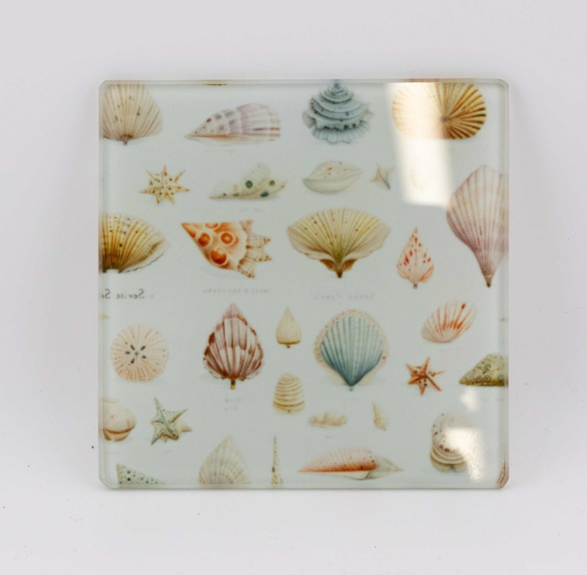 AI24041G- Seashell Glass Coasters Set, Coastal Beach Decor Coasters, Vintage Nautical Shell Print, Coasters, Beach House Housewarming Gift