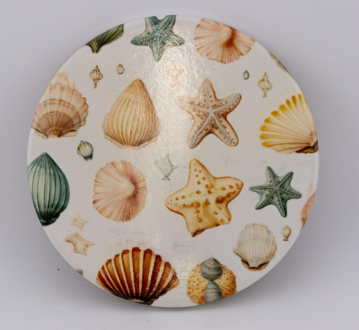 AI24041C  Beachlife Shell collection  Round Ceramic Coasters- Set of 6, colourful, gift for all occasions, six unique designs.