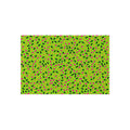 Sprinkle Pop Outdoor Rug – Tropical Punch