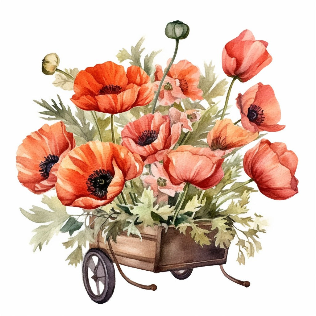 Original poppy wheelbarrow artwork used on these coasters