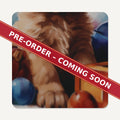 Golden Retriever Puppy Watercolour square glass coaster set of 6, pre-order coming soon