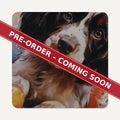 Springer Spaniel Puppy Watercolour square glass coaster set of 6, pre-order coming soon