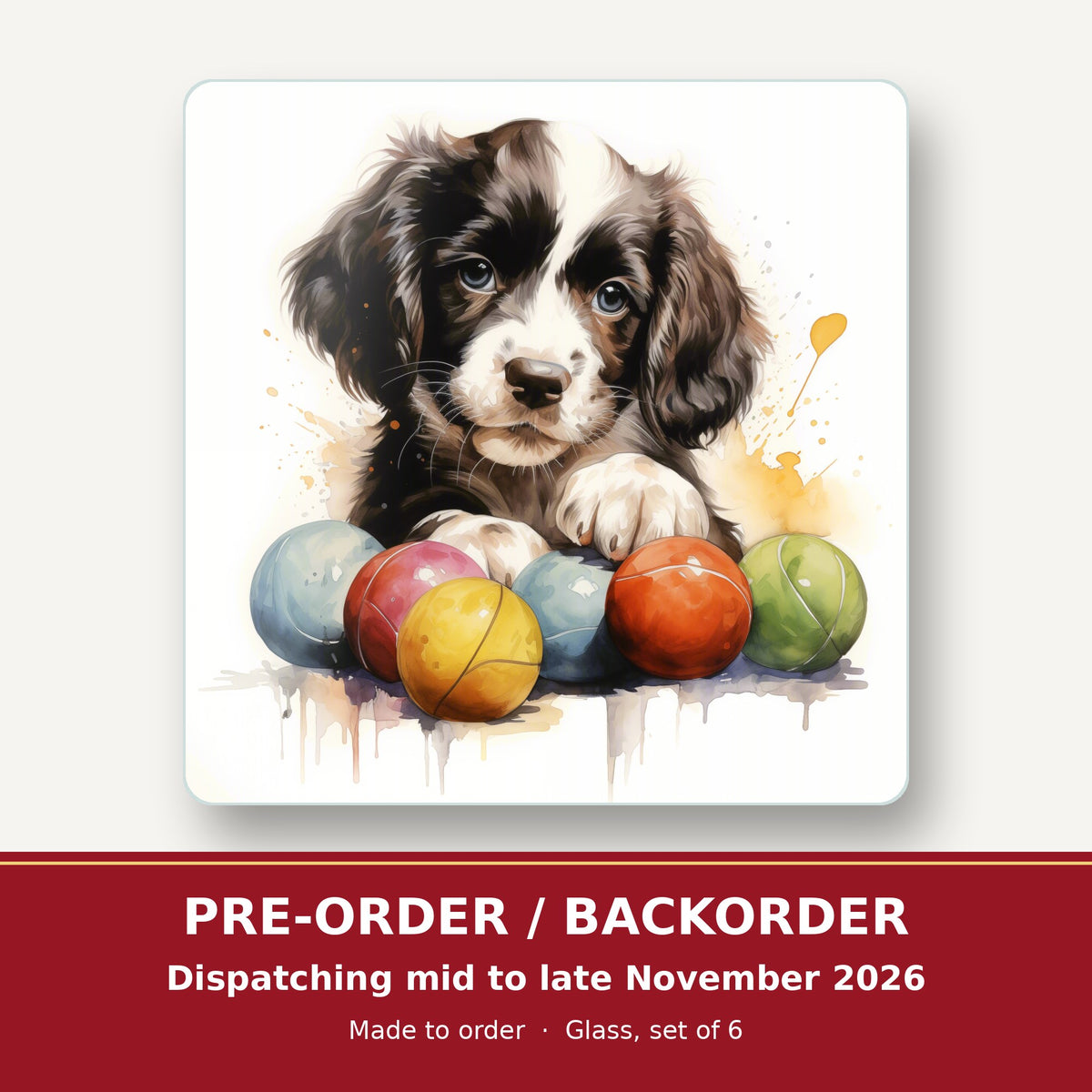 Springer Spaniel Puppy with Balls square glass coaster set of 6 – pre-order / backorder, dispatching mid to late November 2026