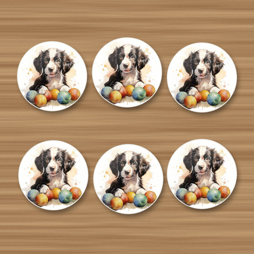 Springer Spaniel Puppy No.2 round ceramic coasters, set of 6, on an oak coffee table