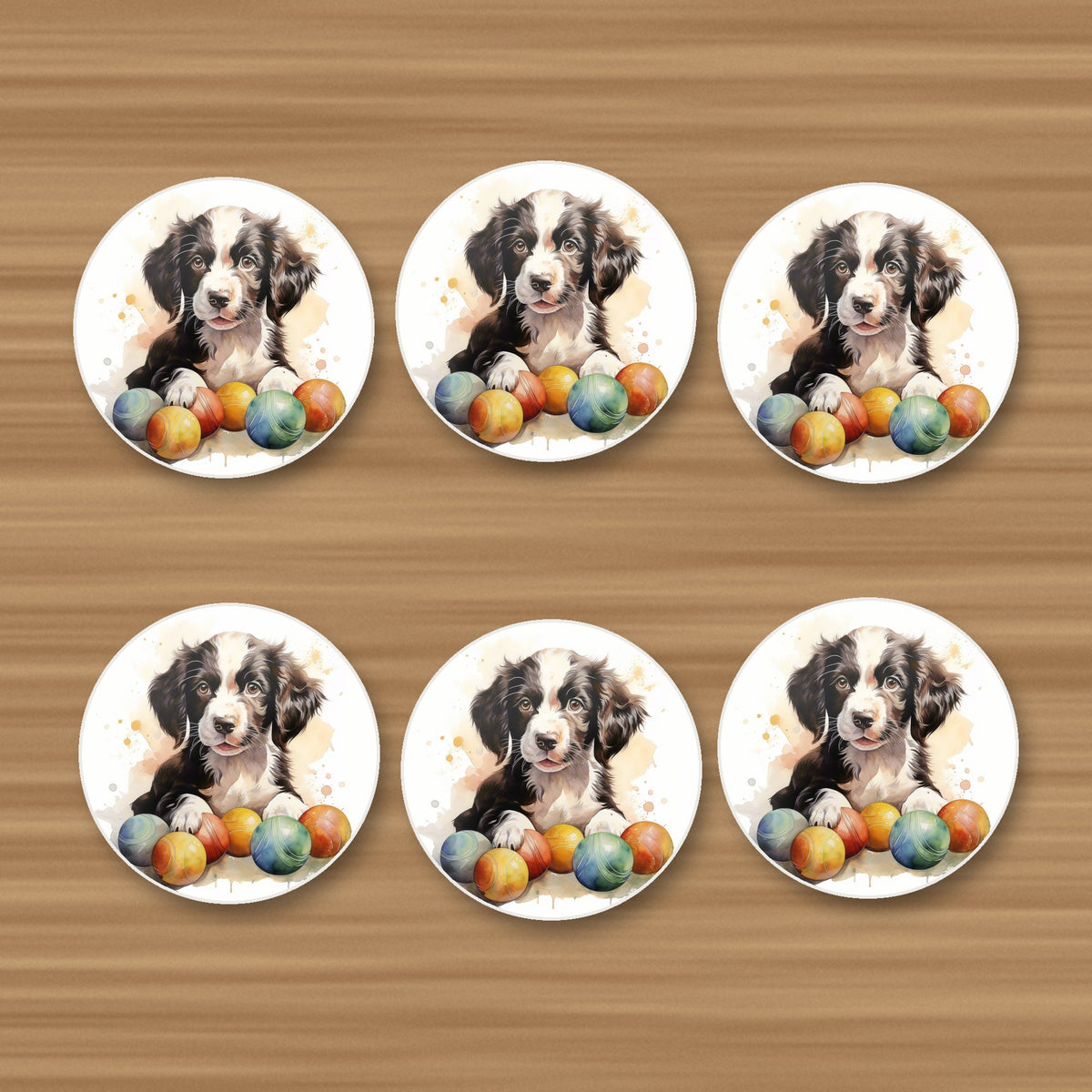 Springer Spaniel Puppy No.2 round ceramic coasters, set of 6, on an oak coffee table