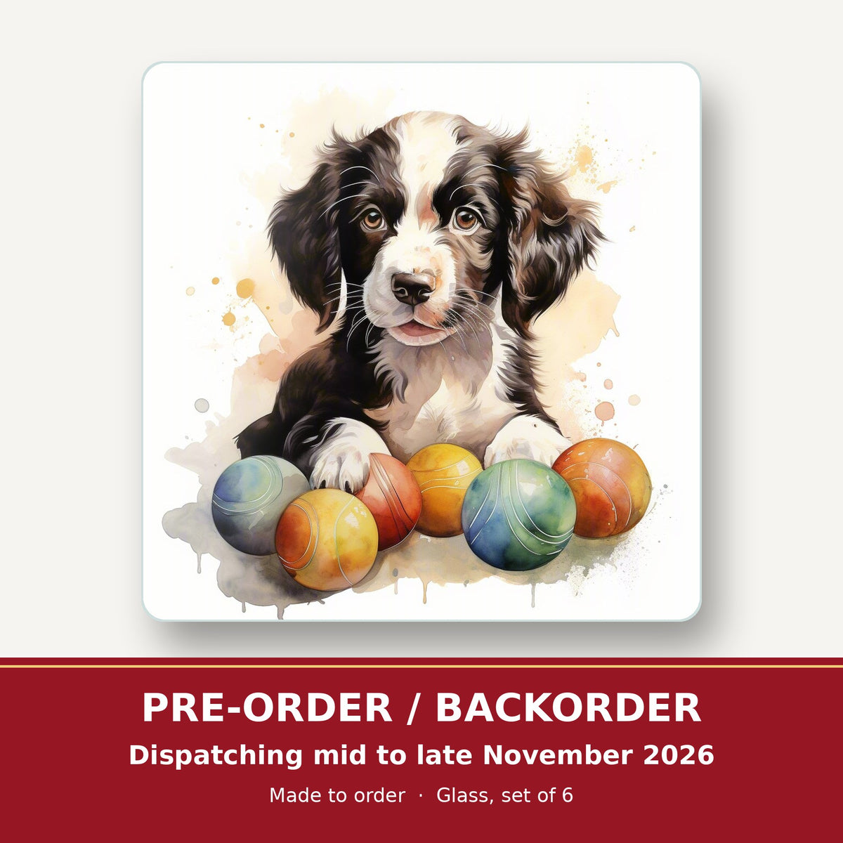 Springer Spaniel Puppy No.2 square glass coaster set of 6 – pre-order / backorder, dispatching mid to late November 2026