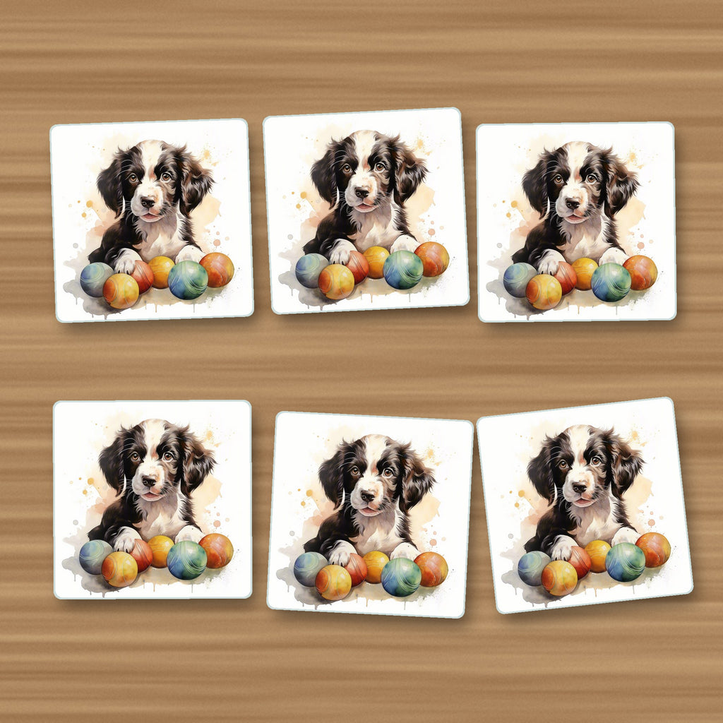 Springer Spaniel Puppy No.2 square glass coasters, set of 6, on an oak coffee table