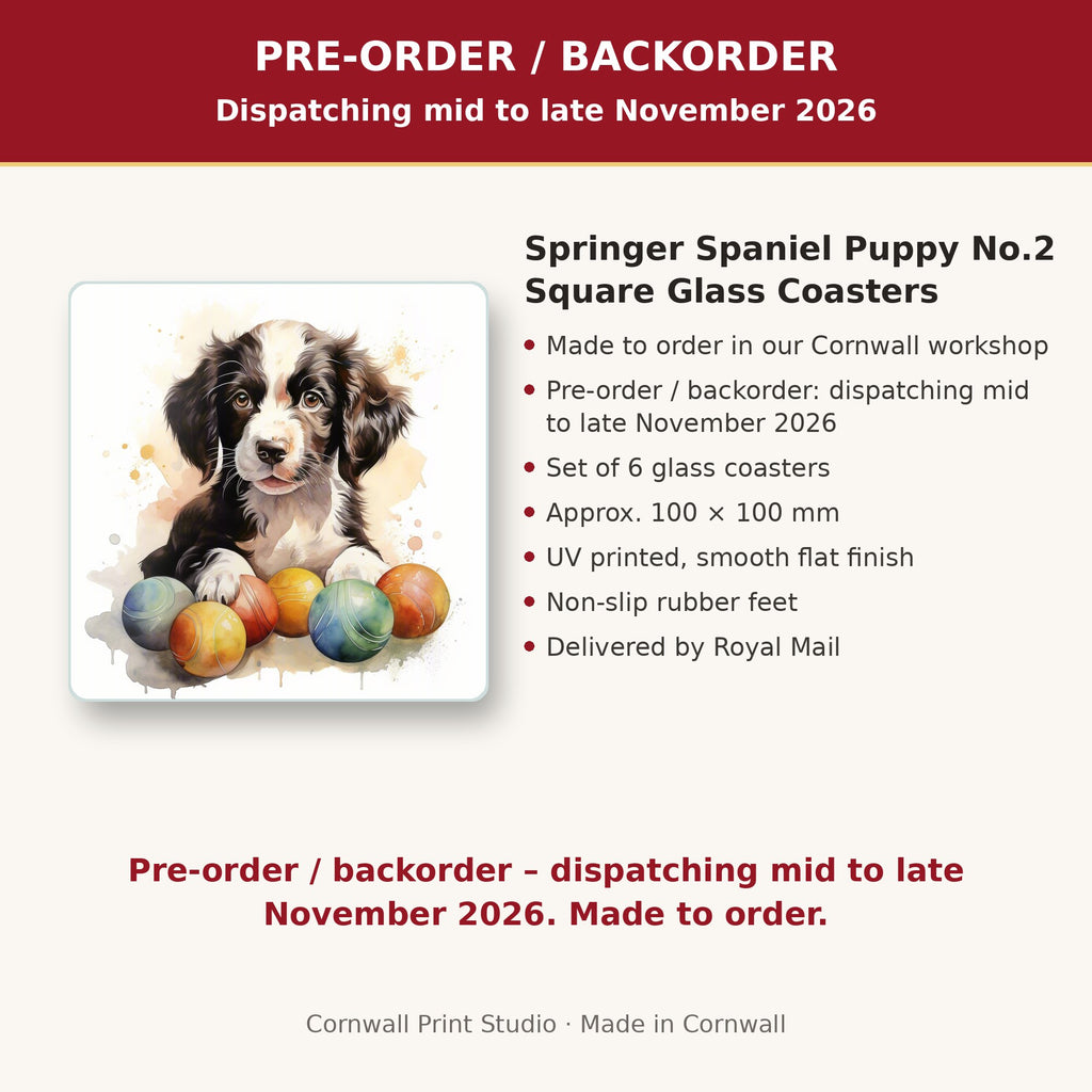 Info card: Springer Spaniel Puppy No.2 Square Glass Coasters – Set of 6, made to order, dispatching mid to late November 2026, delivered by Royal Mail