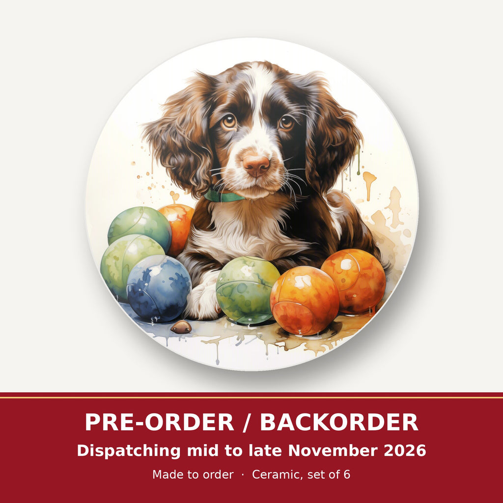 Brown Springer Spaniel Puppy round ceramic coaster set of 6 – pre-order / backorder, dispatching mid to late November 2026