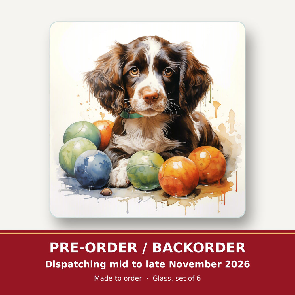 Brown Springer Spaniel Puppy square glass coaster set of 6 – pre-order / backorder, dispatching mid to late November 2026