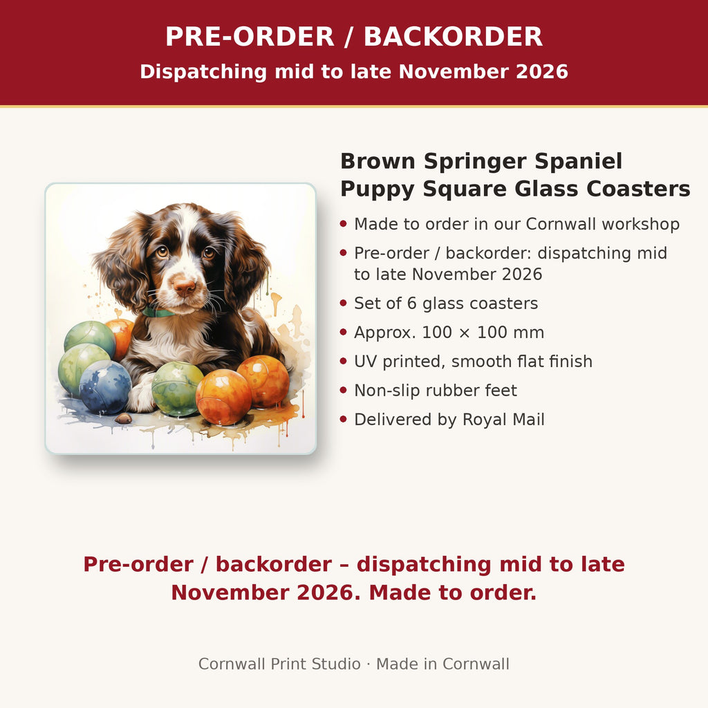 Info card: Brown Springer Spaniel Puppy Square Glass Coasters – Set of 6, made to order, dispatching mid to late November 2026, delivered by Royal Mail