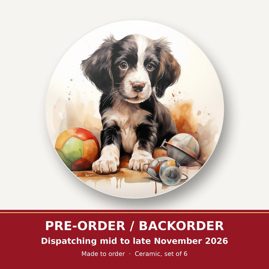 Springer Spaniel Puppy with Toys round ceramic coaster set of 6 – pre-order / backorder, dispatching mid to late November 2026