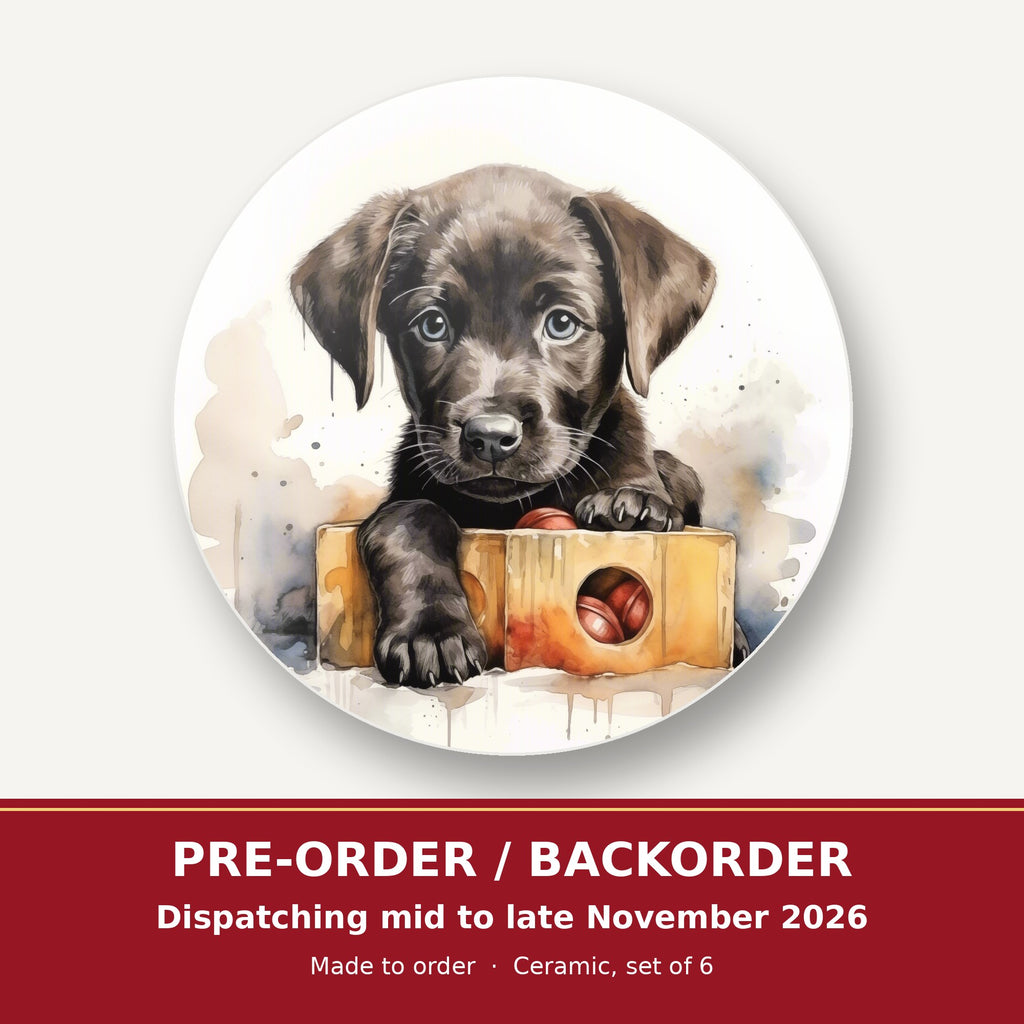 Black Labrador Puppy with Toy Box round ceramic coaster set of 6 – pre-order / backorder, dispatching mid to late November 2026