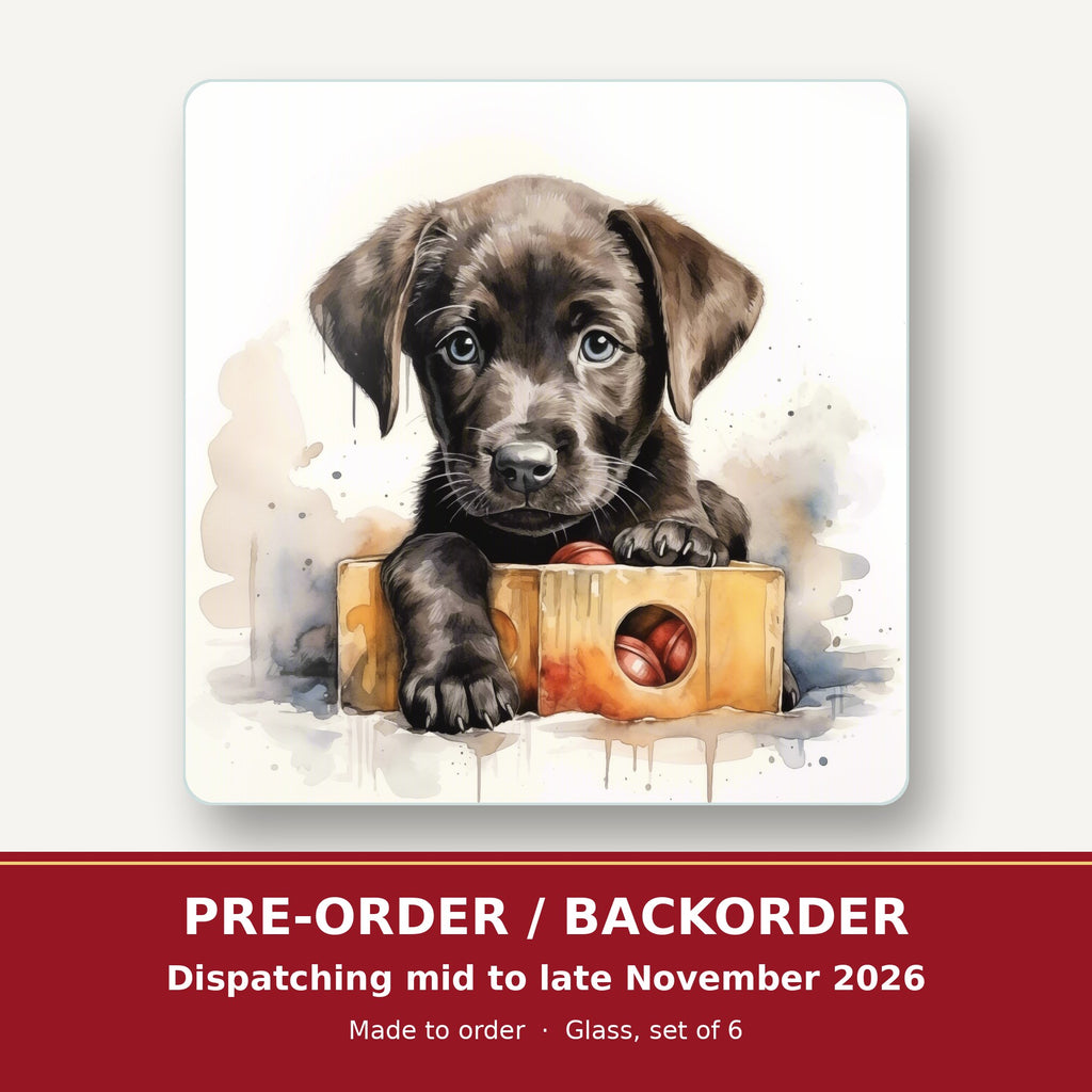Black Labrador Puppy with Toy Box square glass coaster set of 6 – pre-order / backorder, dispatching mid to late November 2026