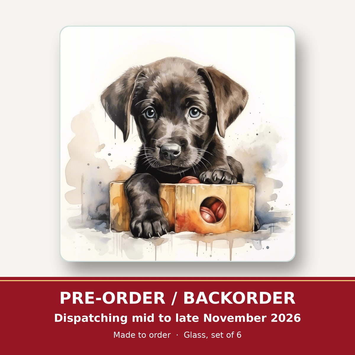 Black Labrador Puppy with Toy Box square glass coaster set of 6 – pre-order / backorder, dispatching mid to late November 2026