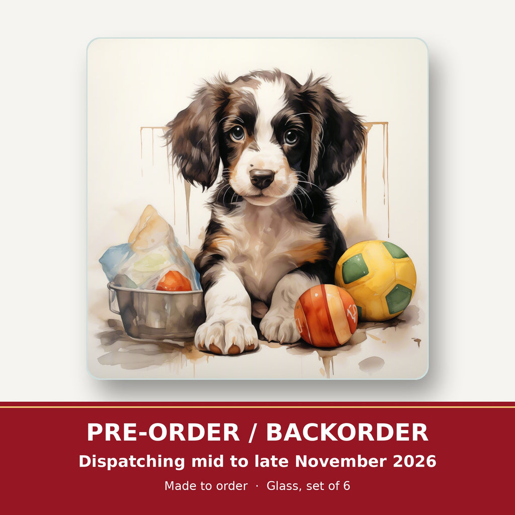 Springer Spaniel Puppy with Balls No.3 square glass coaster set of 6 – pre-order / backorder, dispatching mid to late November 2026