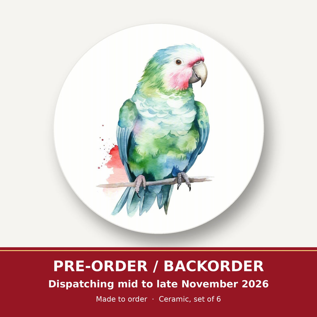 Watercolour Green Parrot on a Branch round ceramic coaster set of 6 – pre-order / backorder, dispatching mid to late November 2026