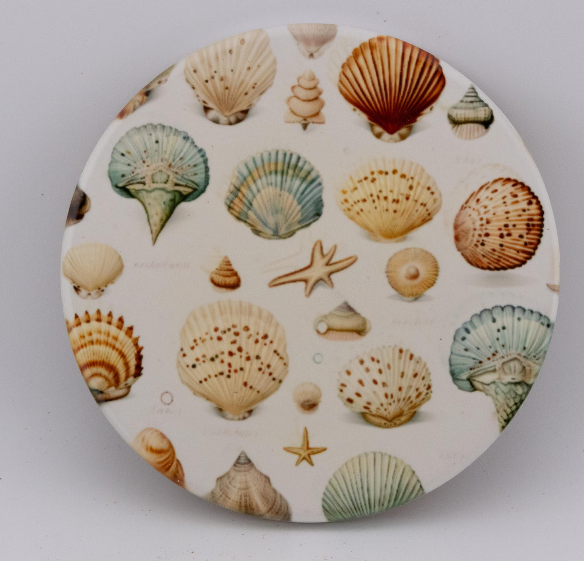 AI24041C  Beachlife Shell collection  Round Ceramic Coasters- Set of 6, colourful, gift for all occasions, six unique designs.