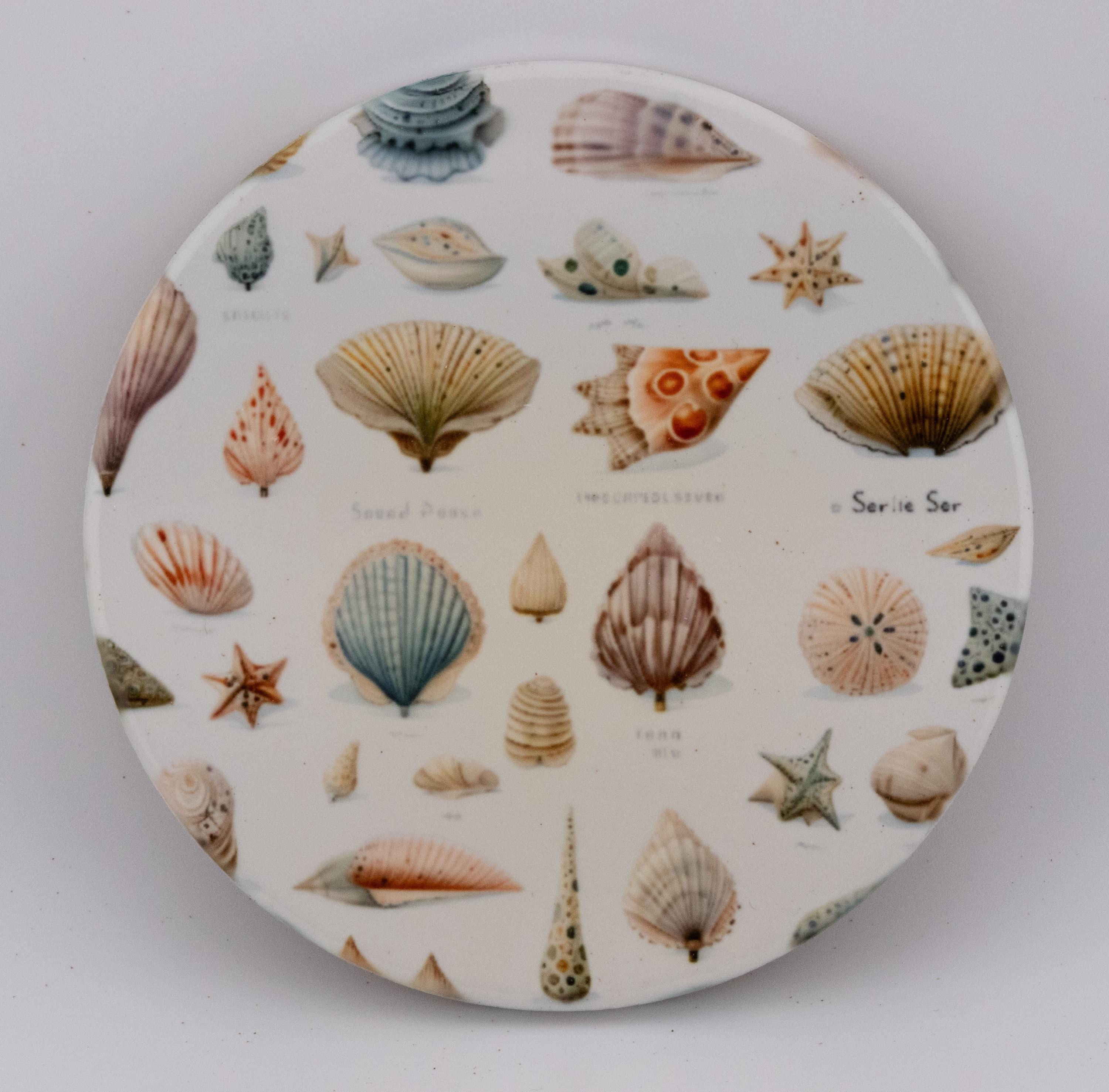 AI24041C  Beachlife Shell collection  Round Ceramic Coasters- Set of 6, colourful, gift for all occasions, six unique designs.