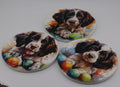 Springer Spaniel Puppy Printed Watercolour effect Round Ceramic Coasters-  Set of 6, colourful, gift for all occasions, six unique designs.